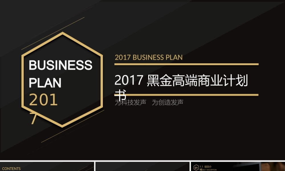 黑金高端商业计划书