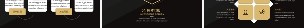 黑金高端商业计划书