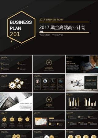 黑金高端商业计划书