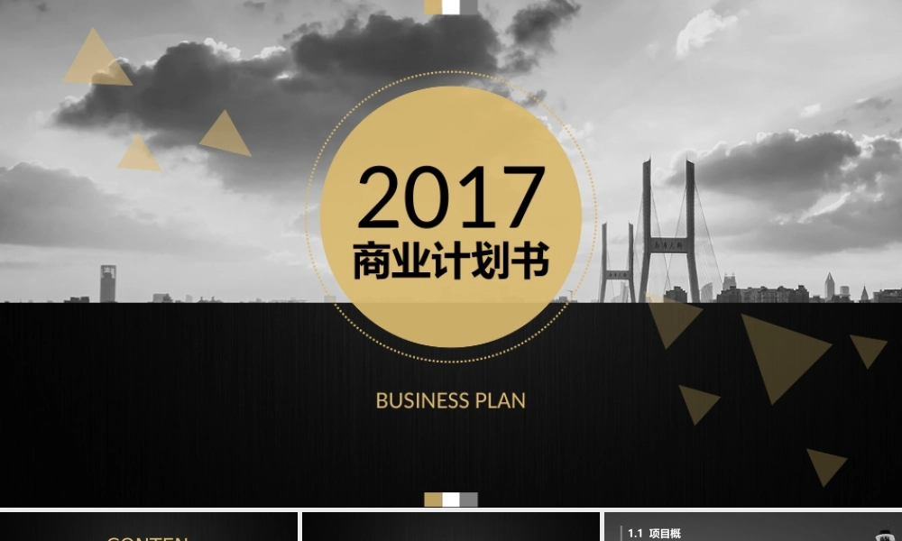黑金商务-商业计划书-创业计划-投资路演-商务通用-
