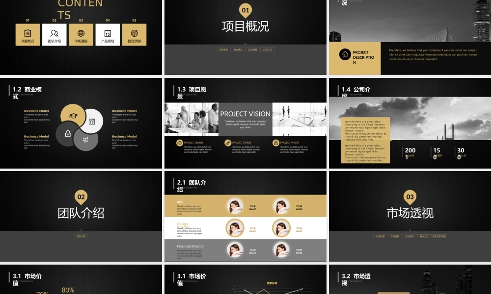 黑金商务-商业计划书-创业计划-投资路演-商务通用-