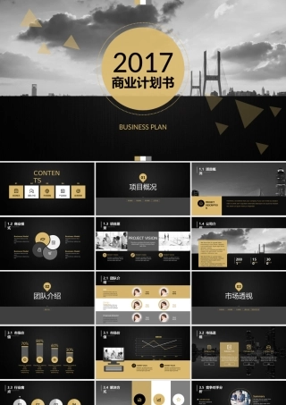 黑金商务-商业计划书-创业计划-投资路演-商务通用-