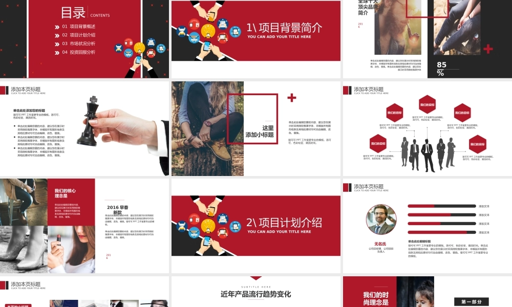 互联网行业经典红创业计划书