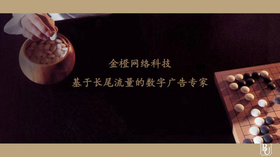 金橙项目计划书_第1页