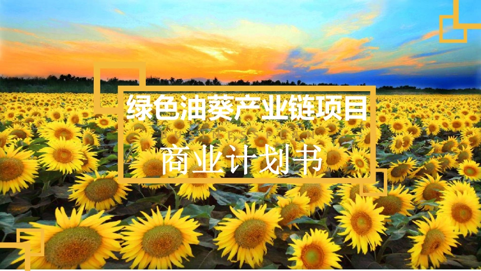 绿天使-绿色油葵产业链项目_第1页