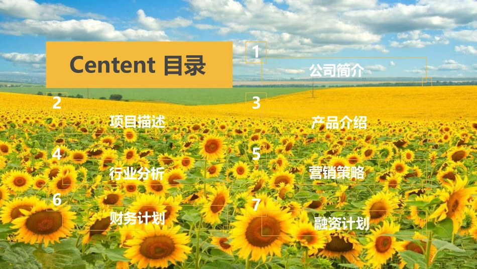 绿天使-绿色油葵产业链项目_第2页