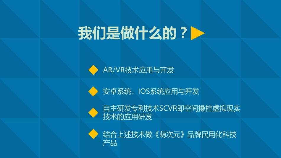 萌次元商业计划书_第3页