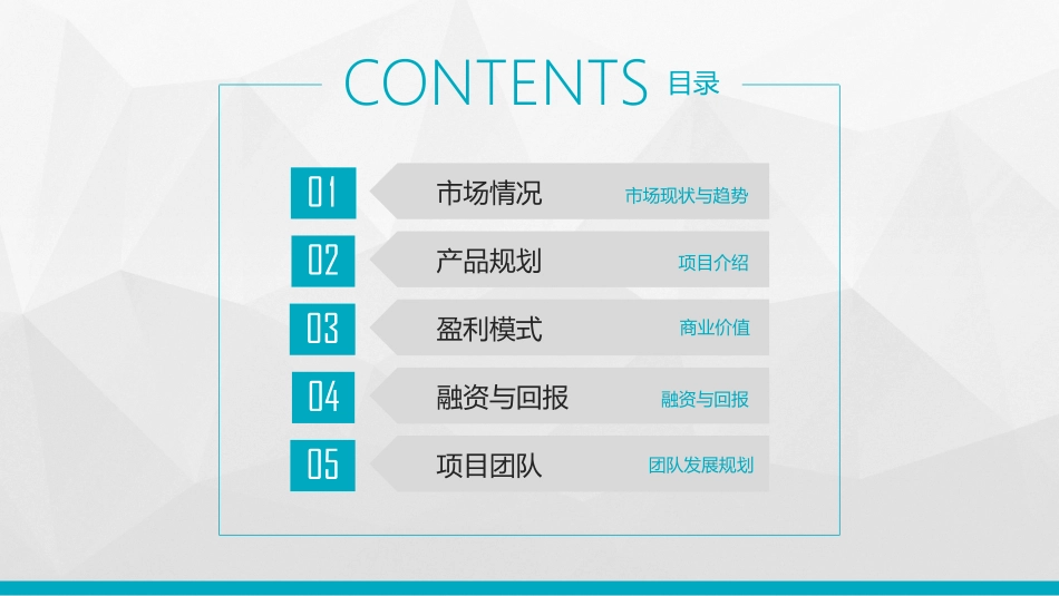 明君融资计划书_第2页