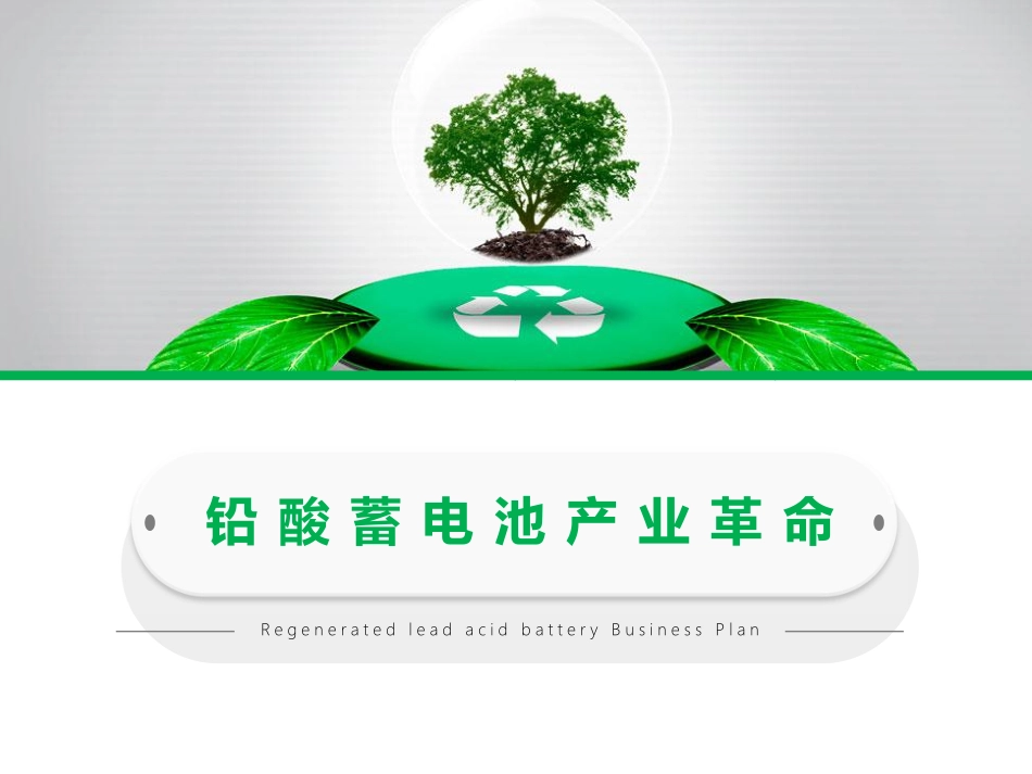 铅酸蓄电池绿色循环项目商业计划书_第1页