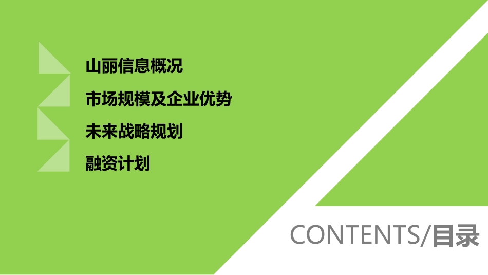 山丽信息.商业计划书_第2页