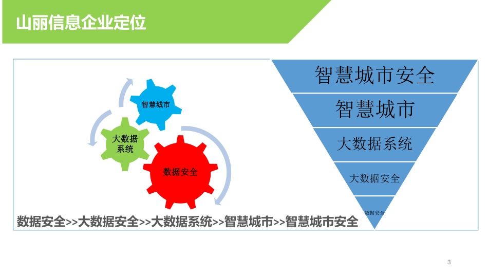 山丽信息.商业计划书_第3页
