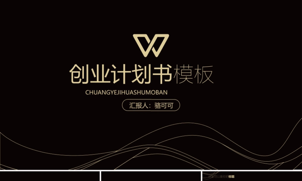 时尚大气曲线黑金企业商务计划书模板