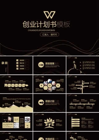 时尚大气曲线黑金企业商务计划书模板