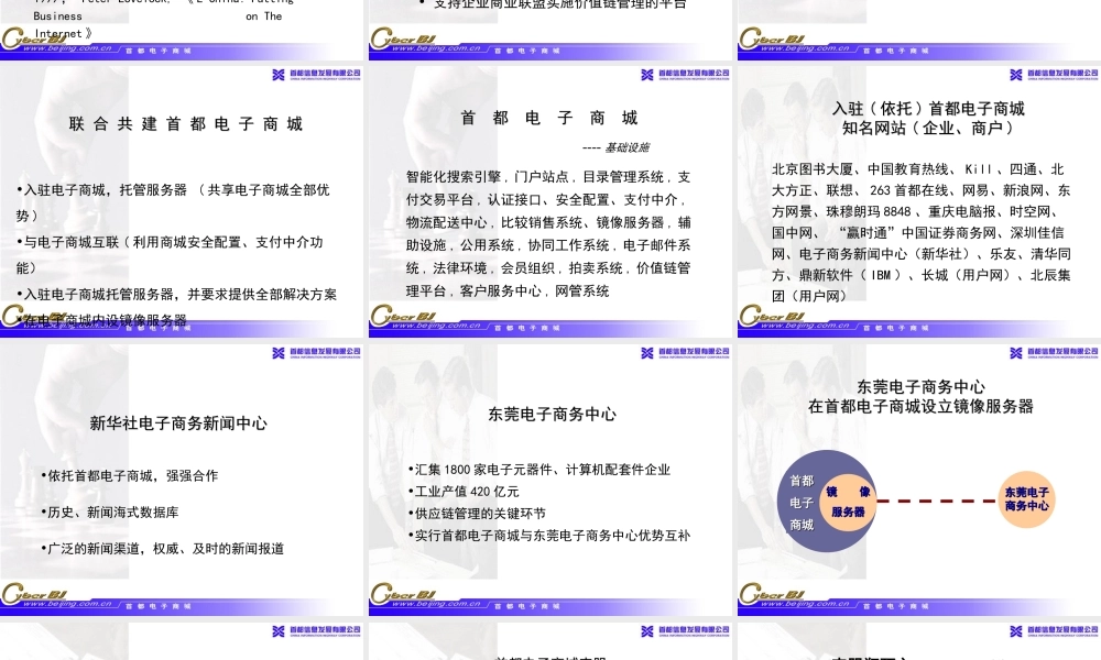 首都电子商务工程主要环节 
