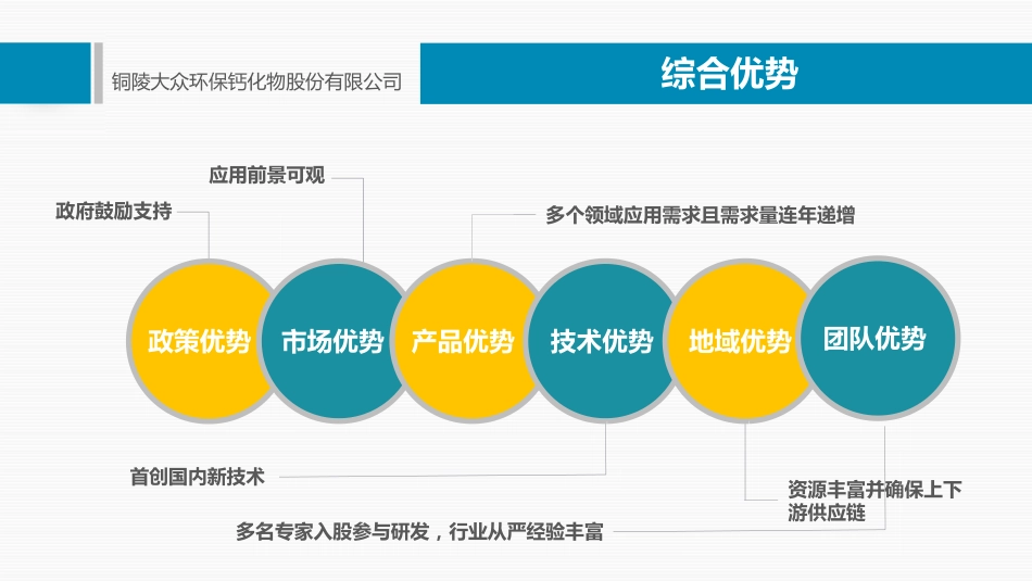 铜陵大众环保钙化物股份有限公司_第2页