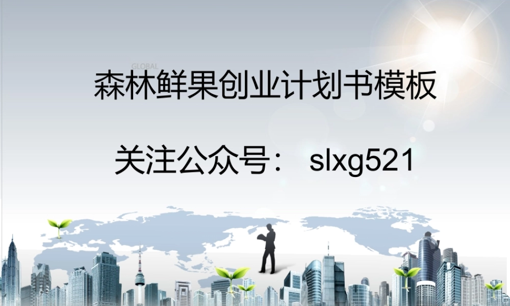 网吧创业计划书 
