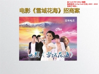 网大电影《雪域花海第二部》商业计划书