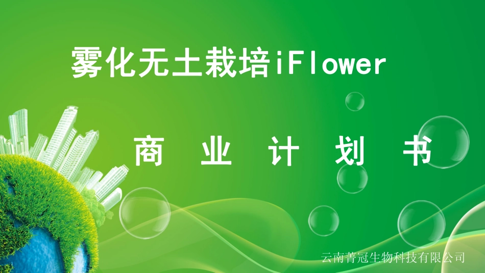 雾化无土栽培iFlower.商业计划书_第1页