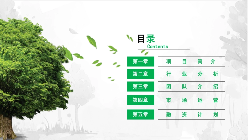 雾化无土栽培iFlower.商业计划书_第2页