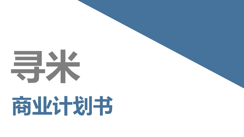 寻米商业计划书_第1页