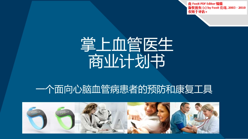 掌上血管医生商业计划书_第1页