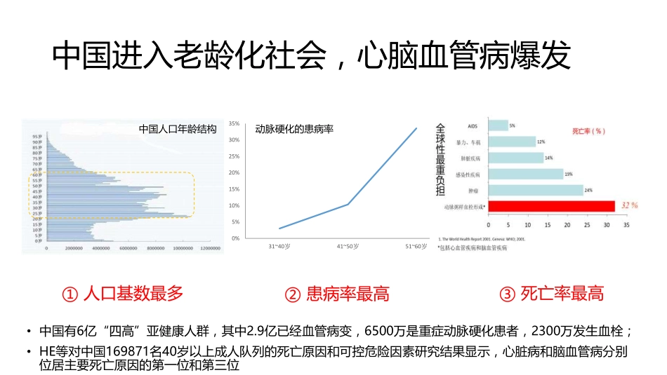 掌上血管医生商业计划书_第2页