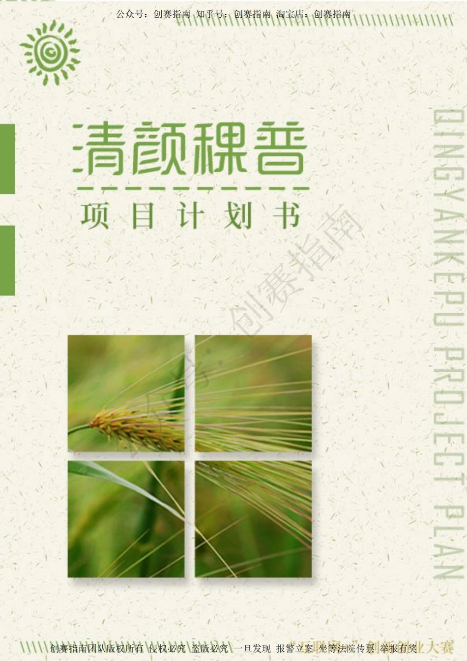 1.清颜稞普计划书_第1页