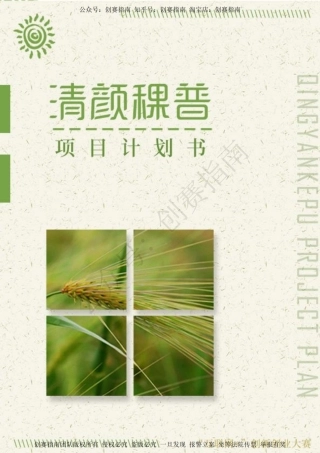 1.清颜稞普计划书