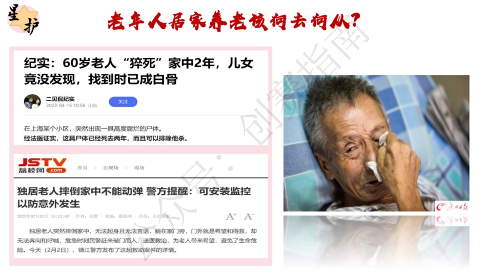 2.星护—智慧到家云医养养老模式创新实施方案ppt_第2页