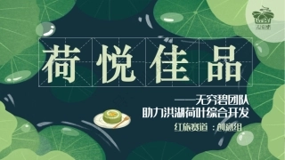 2、荷悦佳品——无穷碧团队助力洪湖荷叶综合开发文档 文档