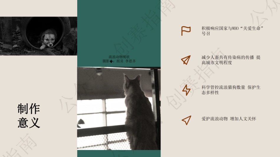 2.学管理流浪动物项圈(1)_纯图版_第3页