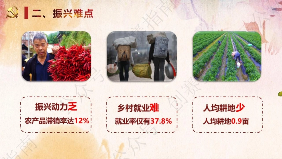 2.猪鲜生一一六位一体助力乡村振兴新模式PPT_第3页