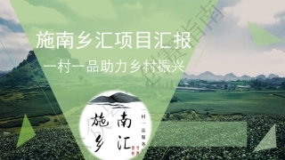 2.施南乡汇一村一品服务网PPT