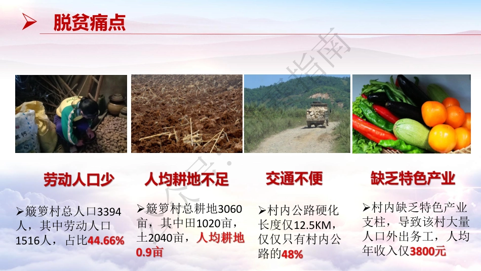 2.簸箩2020.项目PPT_第3页