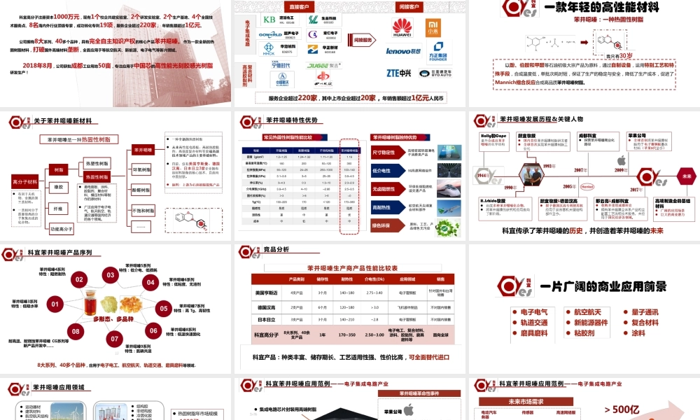 科宜高分子：世界先进热固树脂的领跑者_PPT】