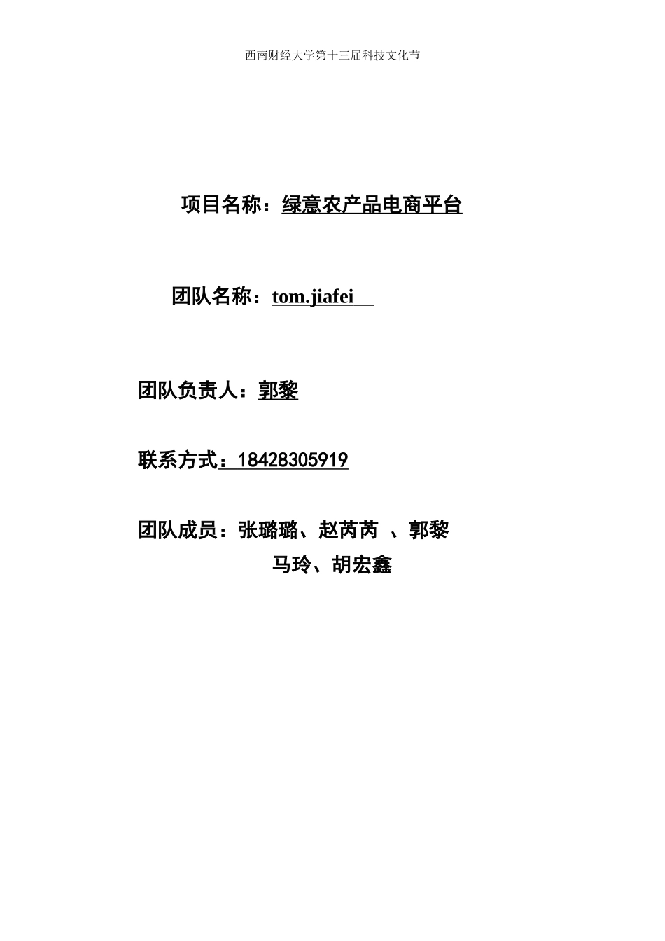 西南财经大学+tom.jiafei+绿意农村电商平台_第1页