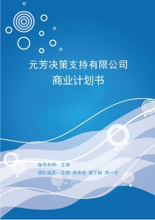 元芳决策支持有限公司商业计划书
