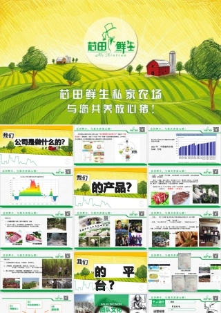 芯田鲜生私家农场与农业龙头企业-创青春