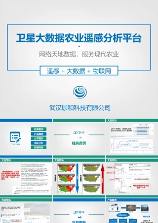 卫星大数据农业遥感分析平台遥