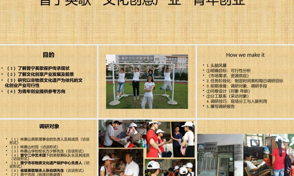 青年创业新方向三下乡调研