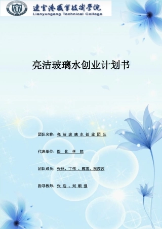 亮洁玻璃水策划案定稿