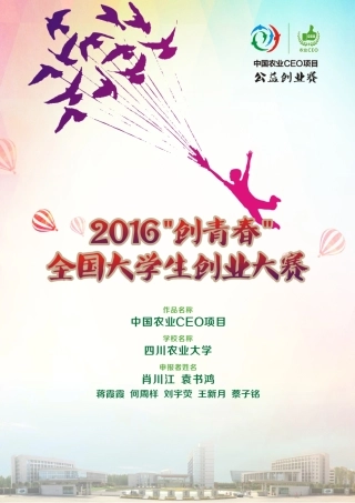 （国奖）中国农业CEO 全方位一站式服务平台计划书。