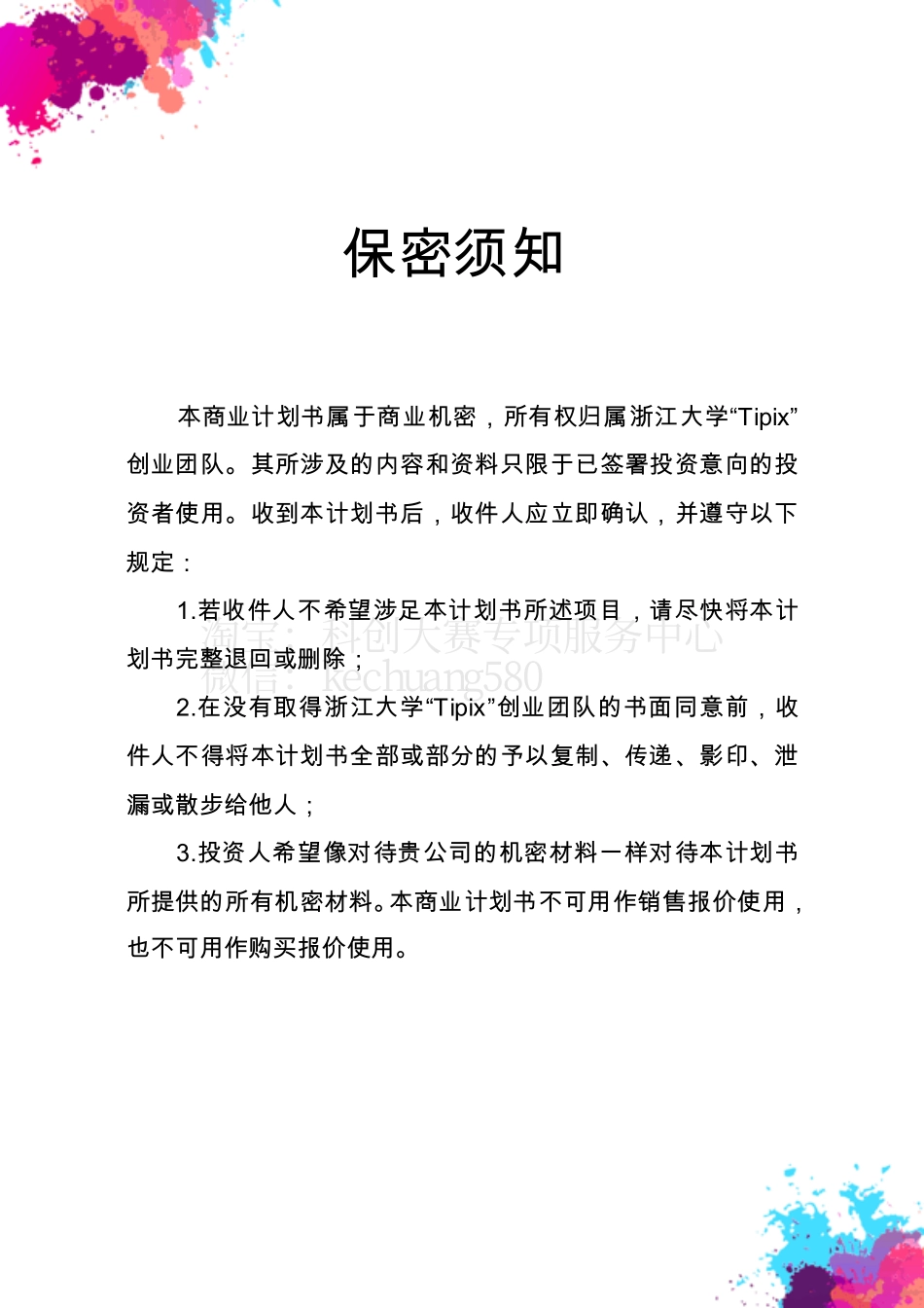 Tipix--人人都是艺术家商业计划书。_第2页