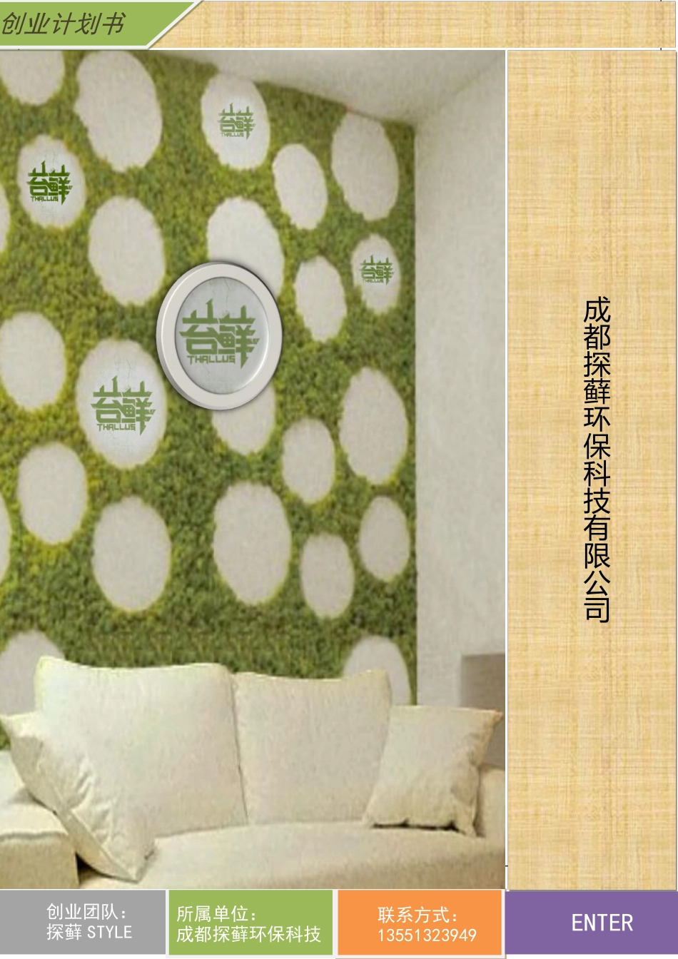 成都探藓环保科技有限公司计划书。_第1页