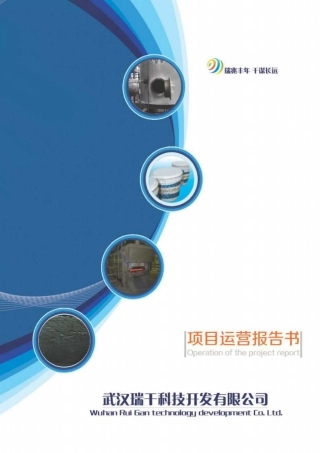 【国赛·创业实践类】武汉瑞干科技开发有限公司项目运营报告文档