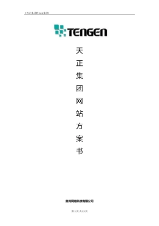 天正集团网站方案书