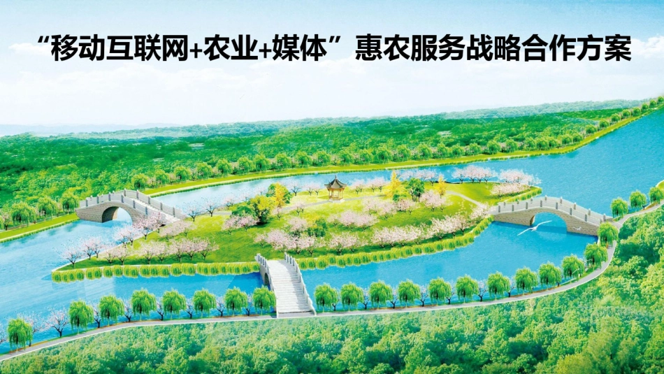 助农合作方案PPT课件(文库)_第1页