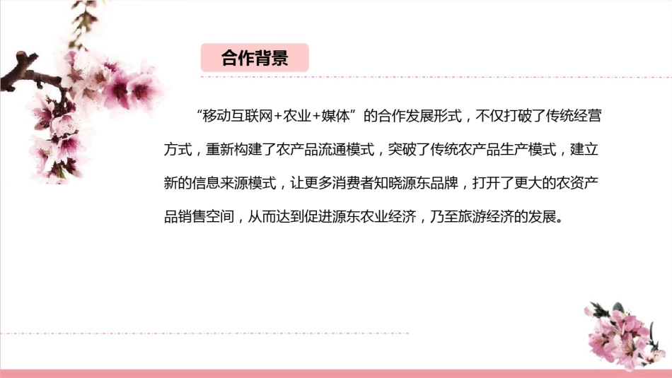 助农合作方案PPT课件(文库)_第2页