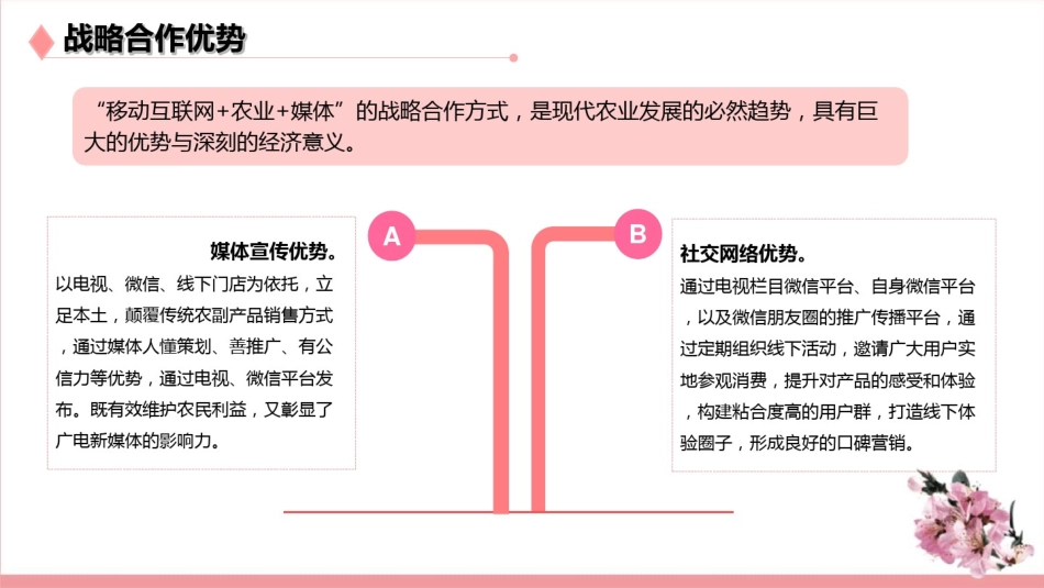 助农合作方案PPT课件(文库)_第3页