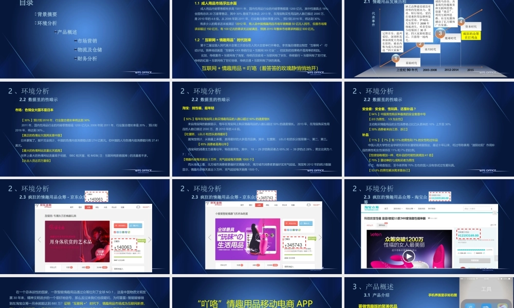 吖咯情趣体验社创业计划书